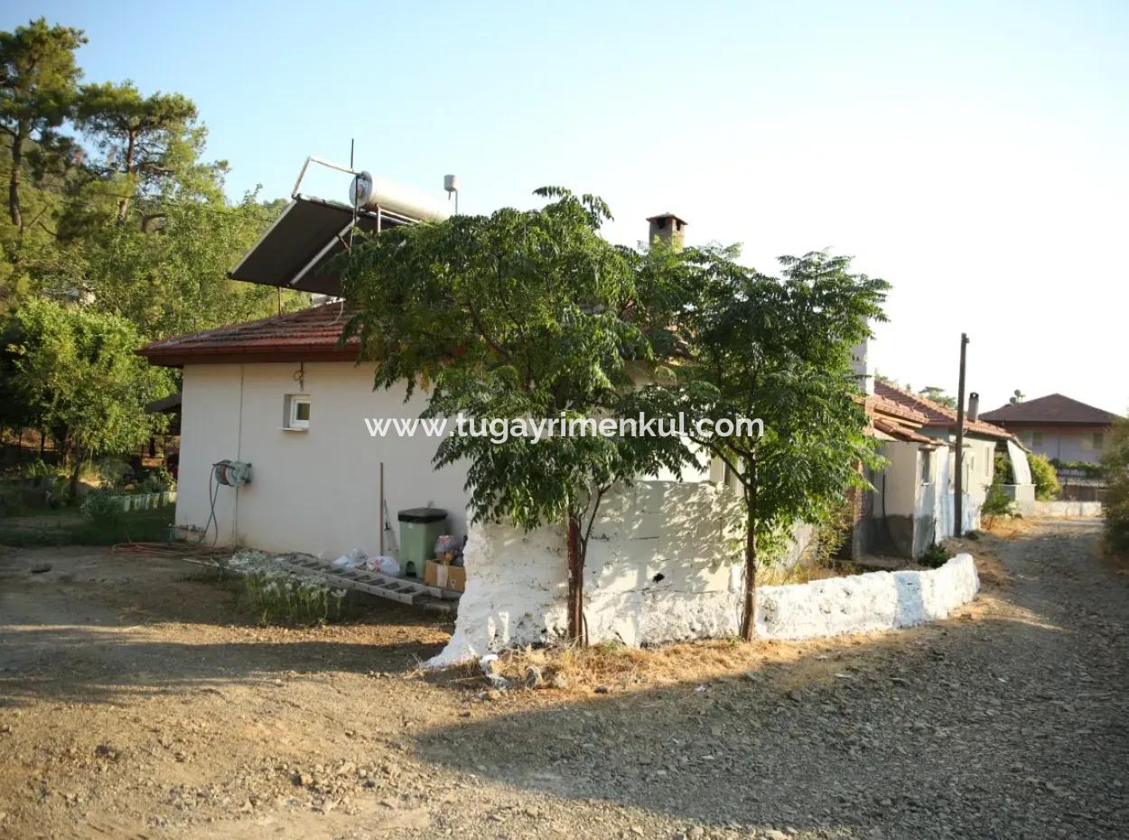 2 Neu Restaurierte Gebäude Auf Einem 1580 M2 Grossen Grundstück In Muğla / Ortaca / Tepearasi Dorf. Dorfhaus