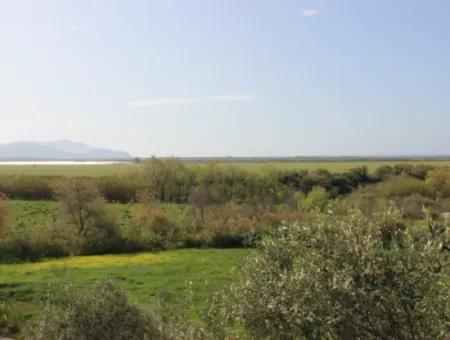 33 Hektar Land In 3 Parzellen Am Rande Des Dalamn-Baches In Muğla Ortaca Fevziye