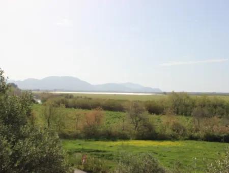 33 Hektar Land In 3 Parzellen Am Rande Des Dalamn-Baches In Muğla Ortaca Fevziye