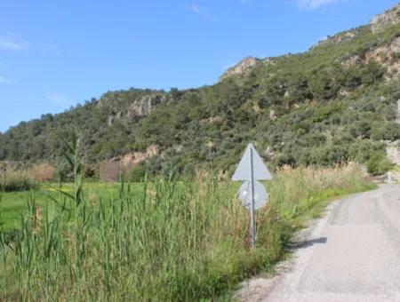 33 Hektar Land In 3 Parzellen Am Rande Des Dalamn-Baches In Muğla Ortaca Fevziye