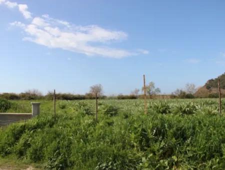 33 Hektar Land In 3 Parzellen Am Rande Des Dalamn-Baches In Muğla Ortaca Fevziye