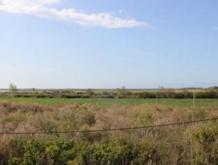 33 Hektar Land In 3 Parzellen Am Rande Des Dalamn-Baches In Muğla Ortaca Fevziye