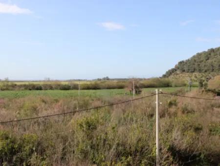 33 Hektar Land In 3 Parzellen Am Rande Des Dalamn-Baches In Muğla Ortaca Fevziye