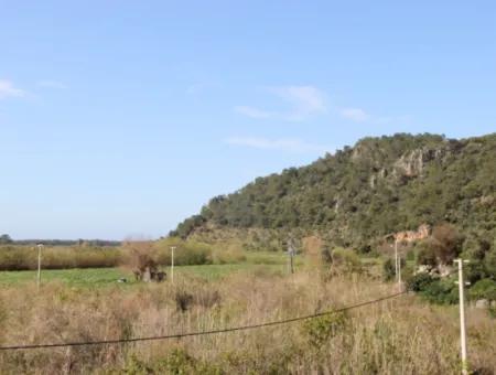 33 Hektar Land In 3 Parzellen Am Rande Des Dalamn-Baches In Muğla Ortaca Fevziye