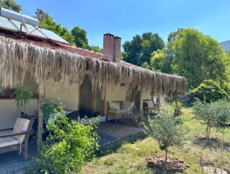 2 Neu Restaurierte Gebäude Auf Einem 1580 M2 Grossen Grundstück In Muğla / Ortaca / Tepearasi Dorf. Dorfhaus