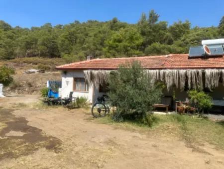 2 Neu Restaurierte Gebäude Auf Einem 1580 M2 Grossen Grundstück In Muğla / Ortaca / Tepearasi Dorf. Dorfhaus