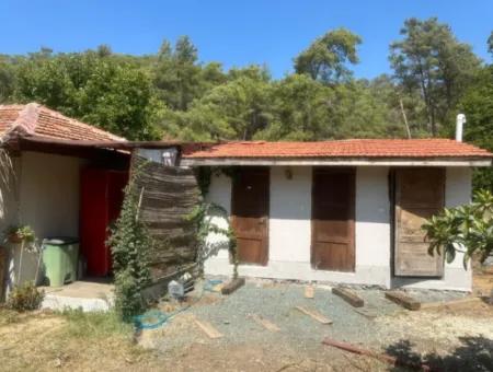 2 Neu Restaurierte Gebäude Auf Einem 1580 M2 Grossen Grundstück In Muğla / Ortaca / Tepearasi Dorf. Dorfhaus