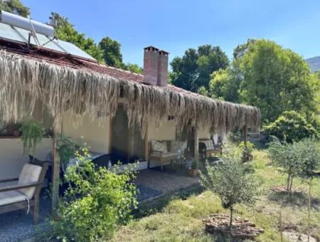 2 Neu Restaurierte Gebäude Auf Einem 1580 M2 Grossen Grundstück In Muğla / Ortaca / Tepearasi Dorf. Dorfhaus