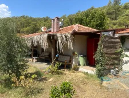 2 Neu Restaurierte Gebäude Auf Einem 1580 M2 Grossen Grundstück In Muğla / Ortaca / Tepearasi Dorf. Dorfhaus