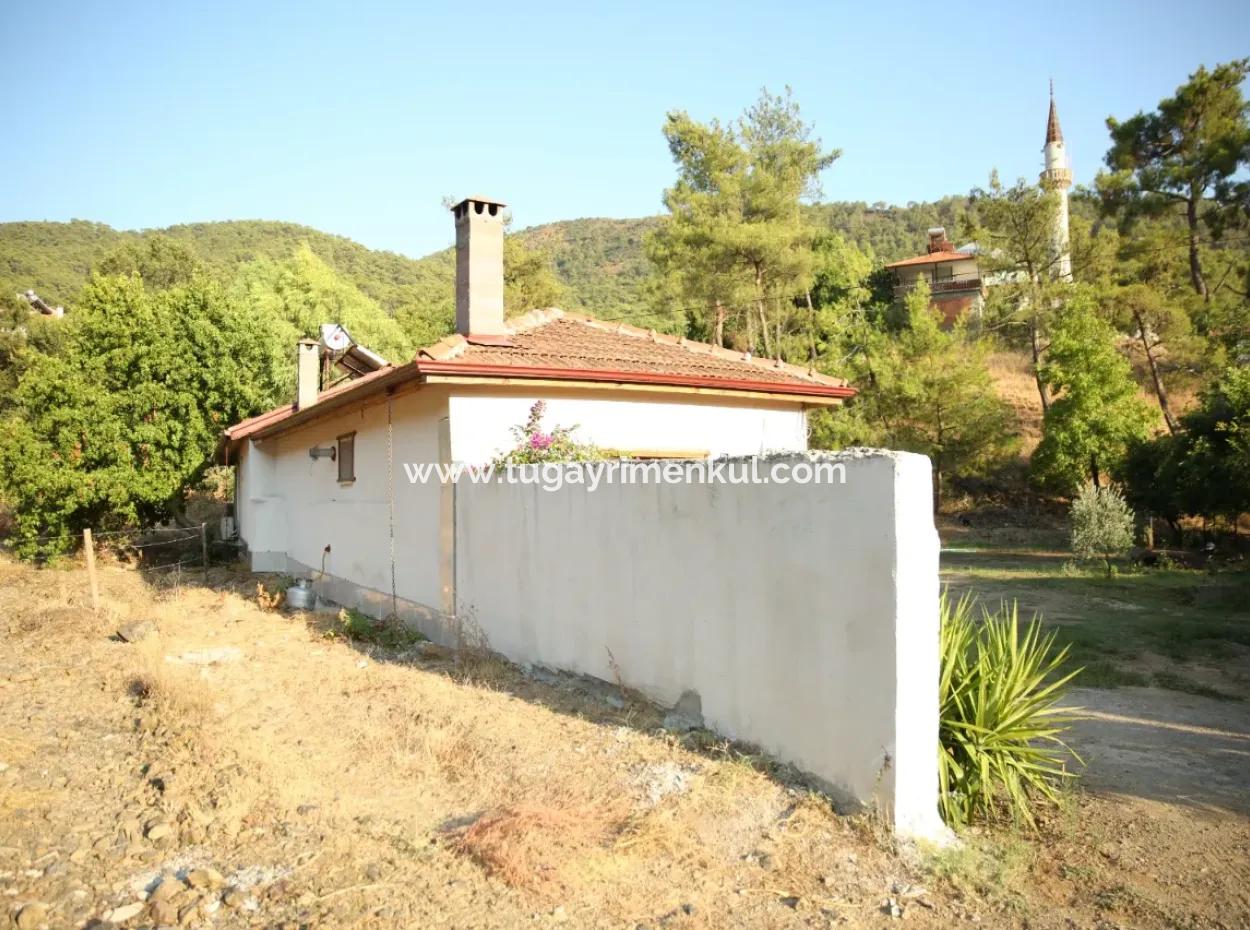 2 Newly Restored Buildings On A 1580 M2 Plot In Muğla / Ortaca / Tepearasi Village. Village House