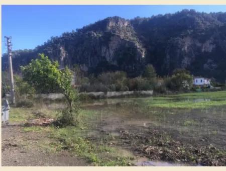 Muğla / Ortaca / Okçular ( Marmarli), 20 Acres Of Land With Road Frontage, Left Side And Front Façade Zoned Lands