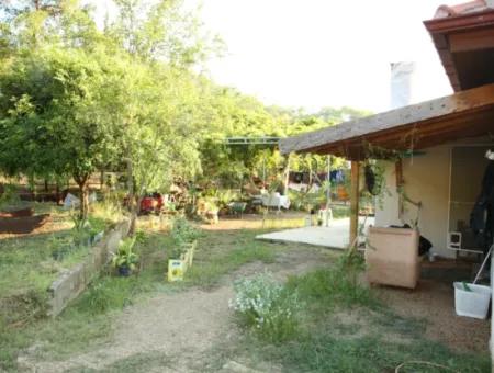 2 Newly Restored Buildings On A 1580 M2 Plot In Muğla / Ortaca / Tepearasi Village. Village House