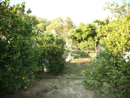 2 Newly Restored Buildings On A 1580 M2 Plot In Muğla / Ortaca / Tepearasi Village. Village House